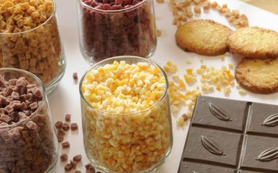 NOS PEPITES AUX FRUITS, UNE GAMME IDEALE POUR TOUTES VOS APPLICATIONS